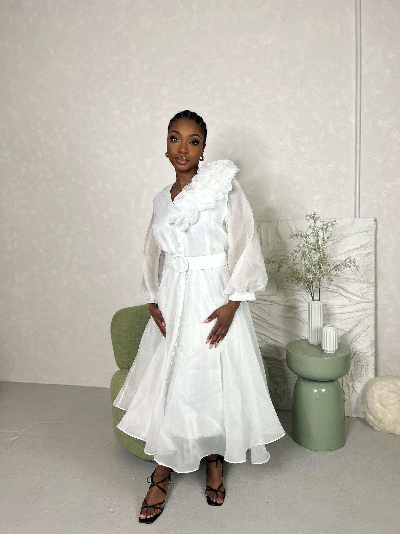 Angelina Belted Organza Dress